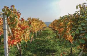 Ferienhaus Mit Panoramablick