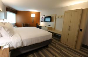 King Room - Non-Smoking room in Holiday Inn Express - Biloxi - Beach Blvd an IHG Hotel