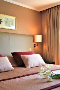 Jaz Monarch Nile Cruise - Every Monday from Luxor for 07 & 04 Nights - Every Friday From Aswan for 03 Nights