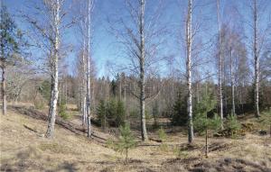 Beautiful Home In Högsby With Kitchen