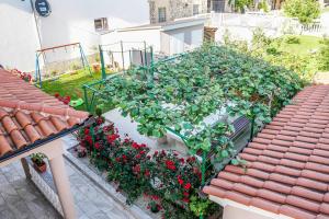 Apartment Dalibor 1870