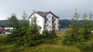 Pensiunea Varful Roman - Horezu