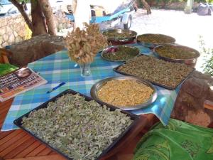 Apartment in Pirovac with balcony, air conditioning, Wi-Fi (4717-1)