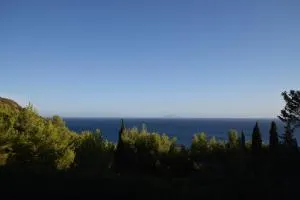 Villetta Palombaia - Cavoli