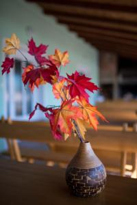 OPG HORVAT SOBE ZA ODMOR