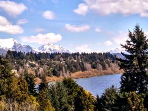 Solar de las Araucarias