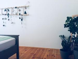 Apartament w Centrum Gliwic