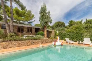 Les Eucalyptus - Cabasson