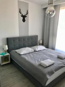 Bastion wałowa - luxury apartment with beautiful view