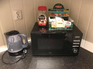 Notodden Sentrum Apartment NO 1