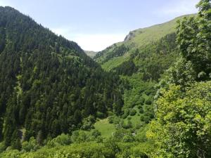 Villas Maison Aulon (Saint Lary) : photos des chambres