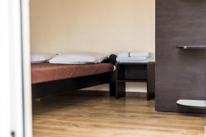 Mediniai nameliai Žibų 99