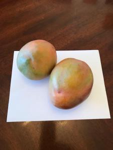 GoldenView Guesthouse Ocho Rios