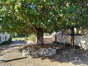 gites de la Vaysse