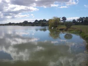 Campings Camping du Lac de Saujon : photos des chambres