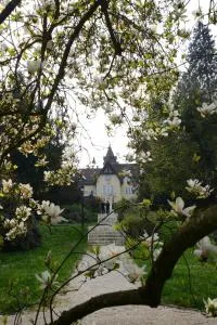 Festetich Kastélyszálló és Zsuzsanna Hotel - Bögöt