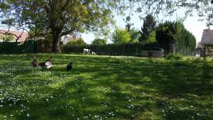 Sejours a la ferme La ferme de flo' : photos des chambres