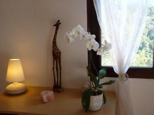 Le Balcon d'Azur photo 21
