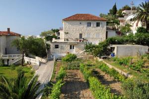 Apartments Olive Tree