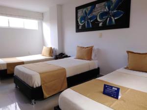 Hotel Andino
