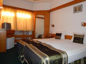 Twin Room room in Hotel Tryavna