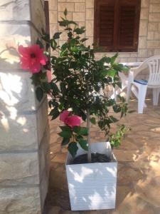 Family friendly holiday home "Ana"