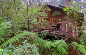 Woodlands Rainforest Retreat