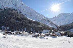 Bergbauernhof Pabulariu