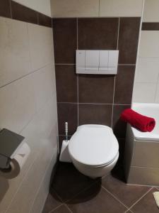One-Bedroom Apartment with Balcony room in Appartement Pöll Kathrin