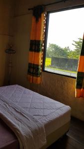 Phòng 4 người nhìn ra vườn (Quadruple Room with Garden View)