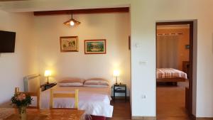 Apartment Liznjan 1705