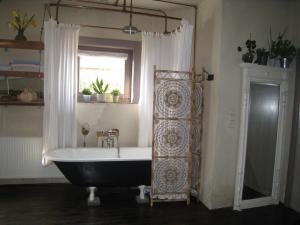 Vakantiehuis in de velden met zwemvijver en Jeu de Boules baan