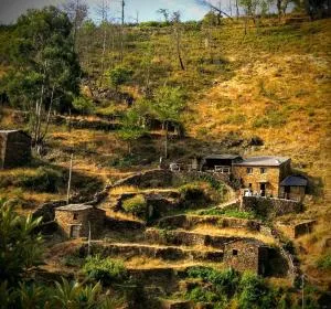 Refúgio do Fujaco - Candal