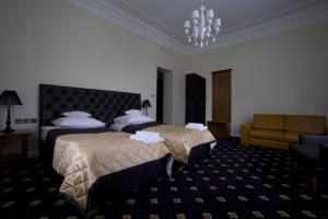 Superior Apartment room in Dwór w Zabużu