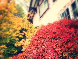 Pension Candytuft - 3hvězdičkové hotely ve městě Karuizawa