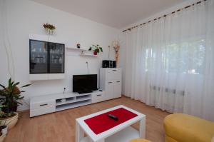 Apartment Ruza