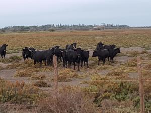 Hotels Longo Mai : photos des chambres