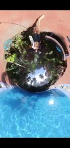 Wilson Ayurvedic Beach Resorts