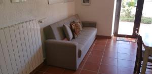 Monolocale indipendente con giardino