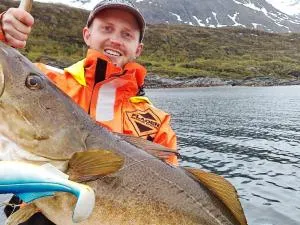 Four-Bedroom Holiday home in Arnøyhamn - Langfjord