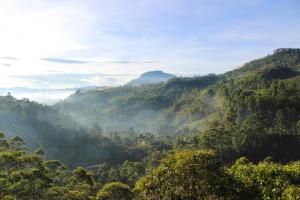 Punsisi Resort - Adams Peak