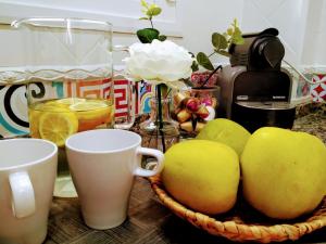 Carola GuestHouse