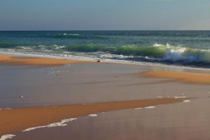 Villas La Rose Allass : photos des chambres