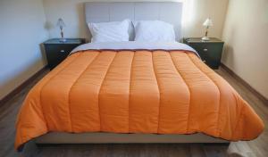 Alojamento Local do Arado