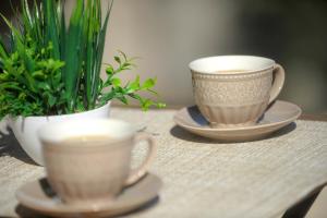 Zen & Geos #DTerra Apartments#