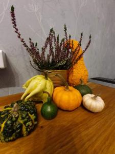 Apartament 27