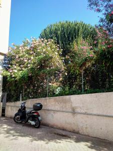 Da angelo e maria alla caldura