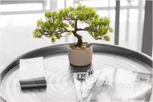 Century City Luxury Two Bedroom Apartment