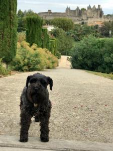 B&B / Chambres d'hotes 45BB : photos des chambres