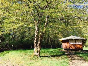 Campings Auberge de la Plage : photos des chambres